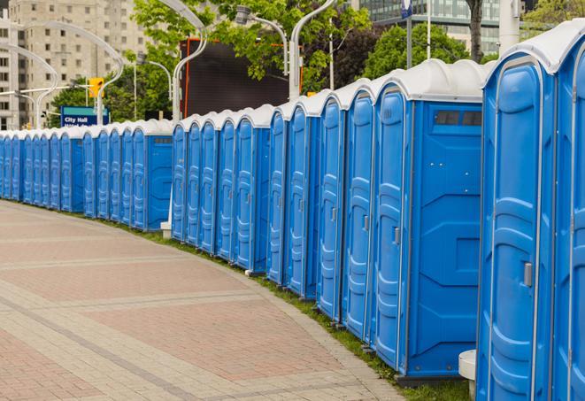 Seasonal porta potty units set up at a Massena, New York venue